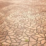 Top 5 Reasons to Use Concrete Pavers in Your Landscape  