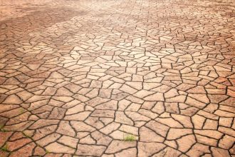 Top 5 Reasons to Use Concrete Pavers in Your Landscape  