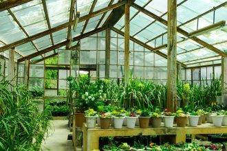 Greenhouse