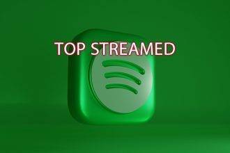 Spotify Playlist: Knowing Who Liked Your Playlist