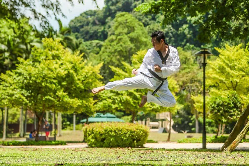 Which Martial Arts are the Most Popular?