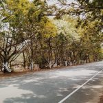 Winter Road Trips In India