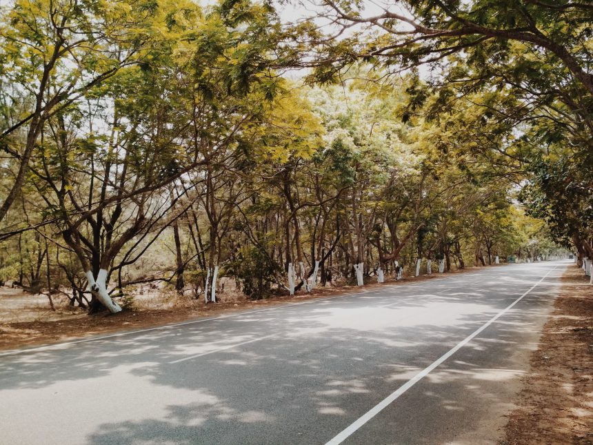 Winter Road Trips In India