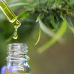 Is CBD a Safe and Effective Sleep Aid?