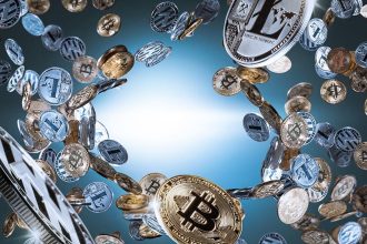 Rise of Crypto Culture among the Youth.