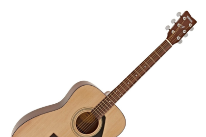 What Are the Different Types of Acoustic Guitars?