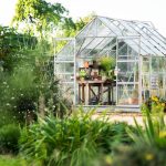 How To Design And Build The Best Greenhouse