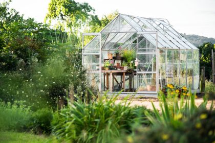 How To Design And Build The Best Greenhouse