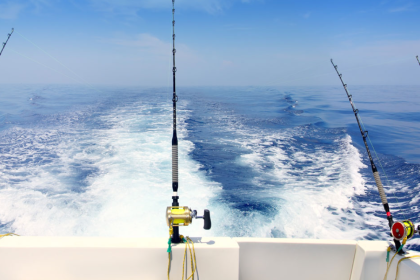 A Fishing Trip Is Not Complete Without This Expert Knowledge