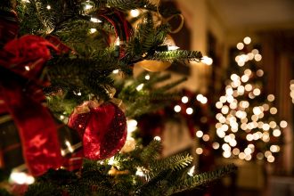 A Christmas gift in the form of an experience - give your child unforgettable sensations!