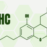 A Complete overview of HHC Cannabinoids