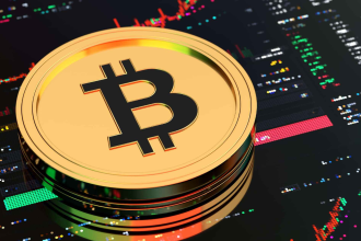 Top Bitcoin investors