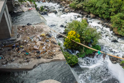 What are the 4 most common types of water contamination?