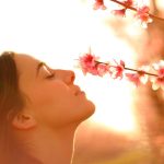 For the Love of Smell: Why We Favour Traditional Scents