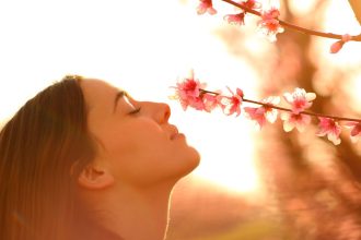 For the Love of Smell: Why We Favour Traditional Scents