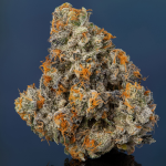 Gelato 41 – A Guide to What to Expect and Where to Buy