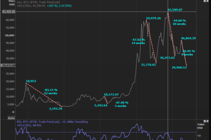 The Growth of the Crypto Economy (2022)