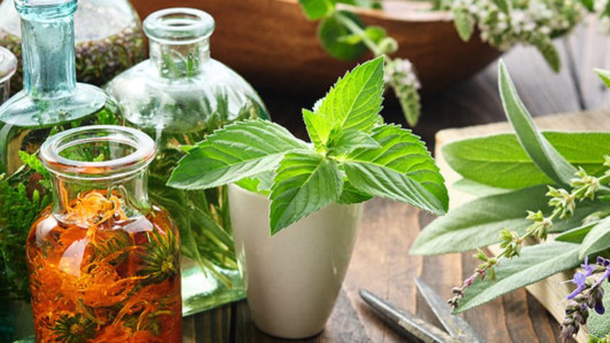 Best Uses Of Peace and Calming Essential Oils | Must Know DIY Recipes