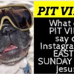 Pit Viper Easter Post on Instagram Controversy