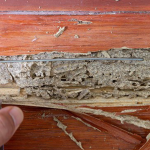 Termite Treatment in Bristol – A Brief Evaluation