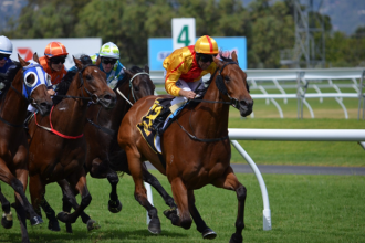 Everything You Need to Know About the 2023 Pegasus World Cup
