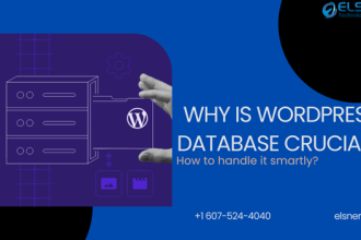 Why is WordPress Database crucial? How to handle it smartly?