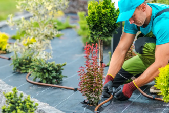 Landscaping: Creating a Garden of Creativity