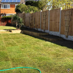 Landscaping Halesowen: How to Choose the Right Plants