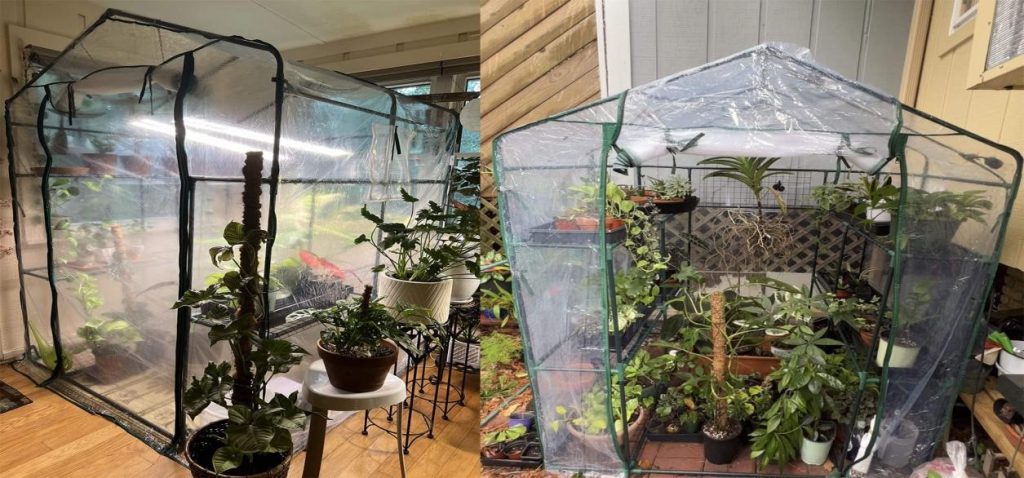 Pet Owners, Be Aware Of These Plants