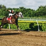 The best locations in the world for horse racing