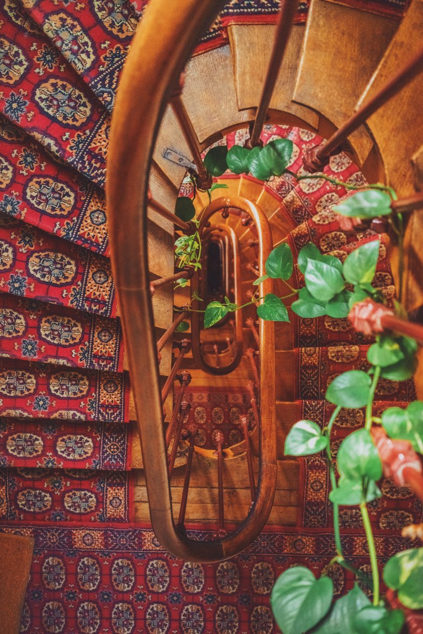 Why Professional Carpet Cleaning is Worth the Investment