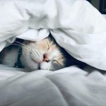 Clever Hacks For Deep Restful Sleep
