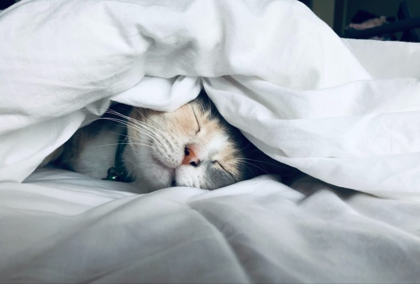 Clever Hacks For Deep Restful Sleep