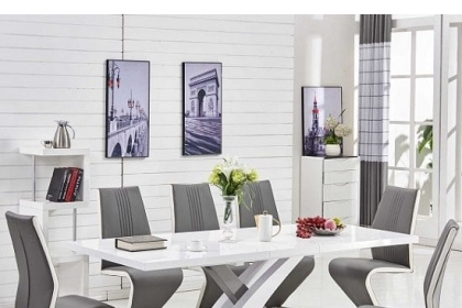 Modern Furniture for Contemporary Living Spaces and Dining Areas