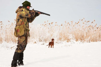 Reasons Why Hunting is Good for the Environment