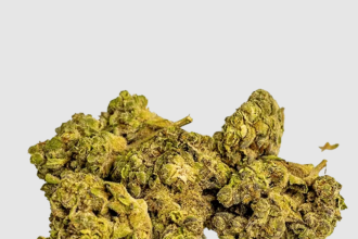 Get to Know THCa Flower - A Comprehensive Look at This Popular Cannabinoid