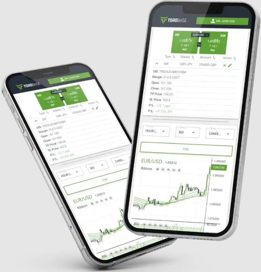 Torobase Review - Is Torobase Safe?
