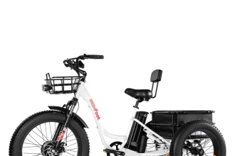 MAXFOOT Electric Tricycle For Adults: Why You Should Buy It Instead of a Regular Bike?