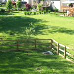 Keep Your Backyard Clean With These Easy Suggestions
