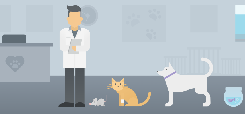 How To Run A Veterinary Practice? A Comprehensive Guide