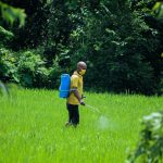 Pest Control: A Guide to Keeping Your Home Safe and Pest-Free