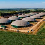 Biomass Energy in the Philippines
