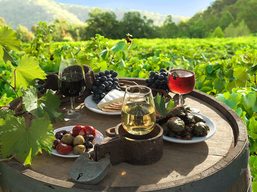 5 Reasons to go on a Hunter Valley Tour