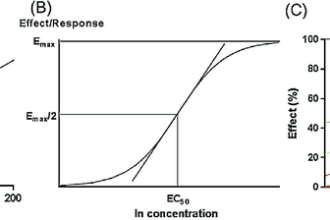 The Importance of Log Linear Models in Statistical Analysis