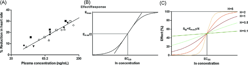 The Importance of Log Linear Models in Statistical Analysis