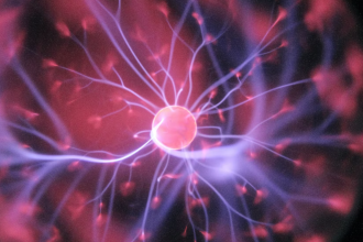 Fire up those neurons with these games