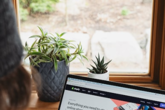 How To Make Money By Selling Stuff Online