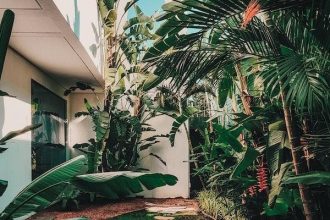 The Importance of Proper Drainage: Protecting Your Property Is Vital
