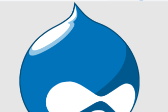 Drupal Websites Development: 7 Benefits Organizations Can Enjoy