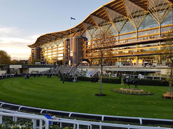 Frankie Dettori Tipped to end Royal Ascot Career with a win